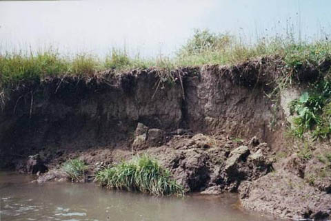 Lake Erosion Can Be Controlled