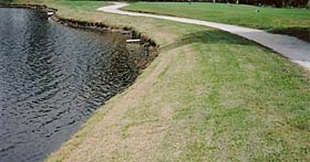 Erosion Control in Florida